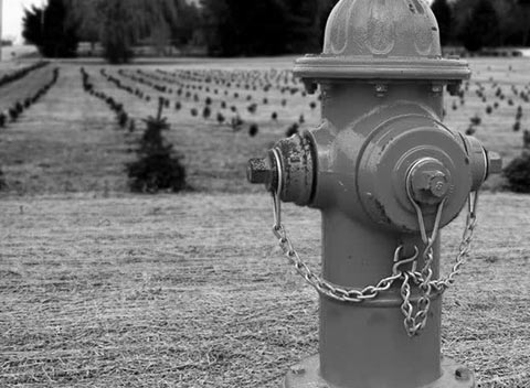 轰炸手机短信网站